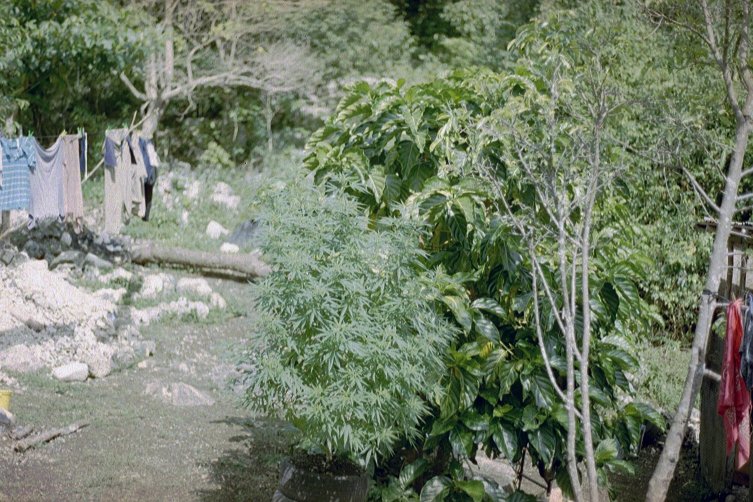 Behind JahB's House